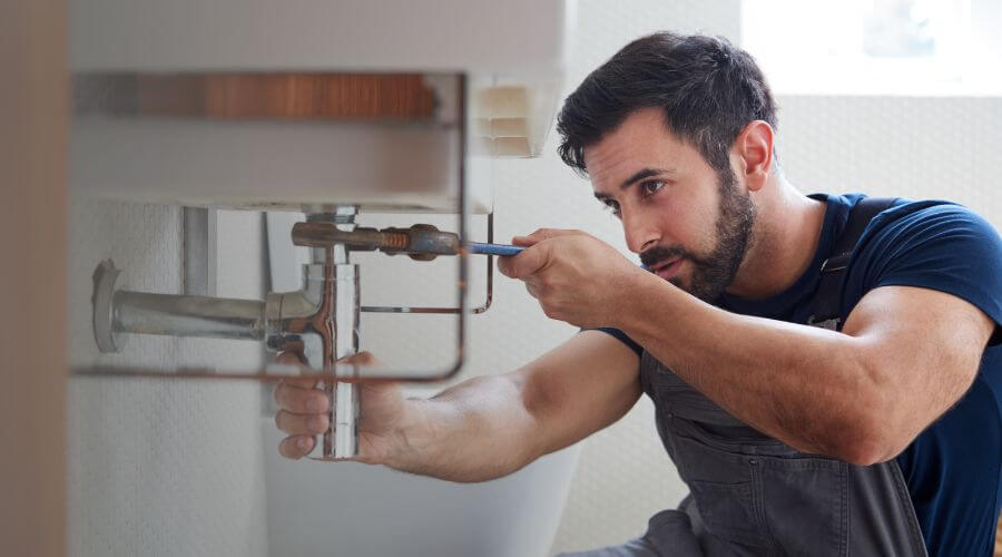 Trap Repair/Replacement in Olivia, MN